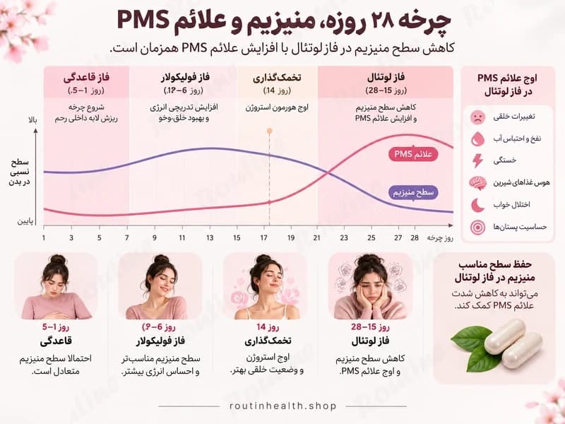 اینفوگرافیک چرخه ۲۸ روزه قاعدگی و ارتباط افت منیزیم در فاز لوتئال با افزایش علائم PMS